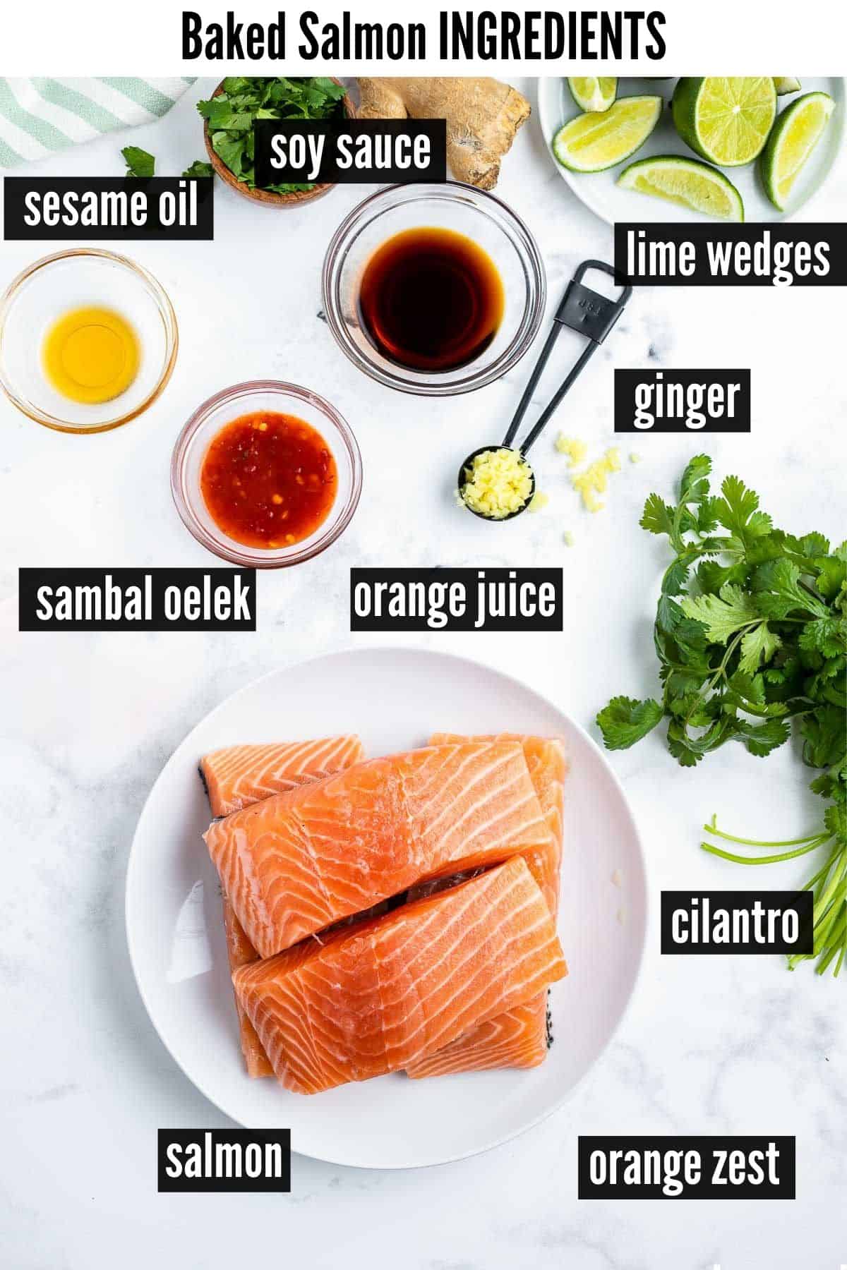 baked salmon labelled ingredients image