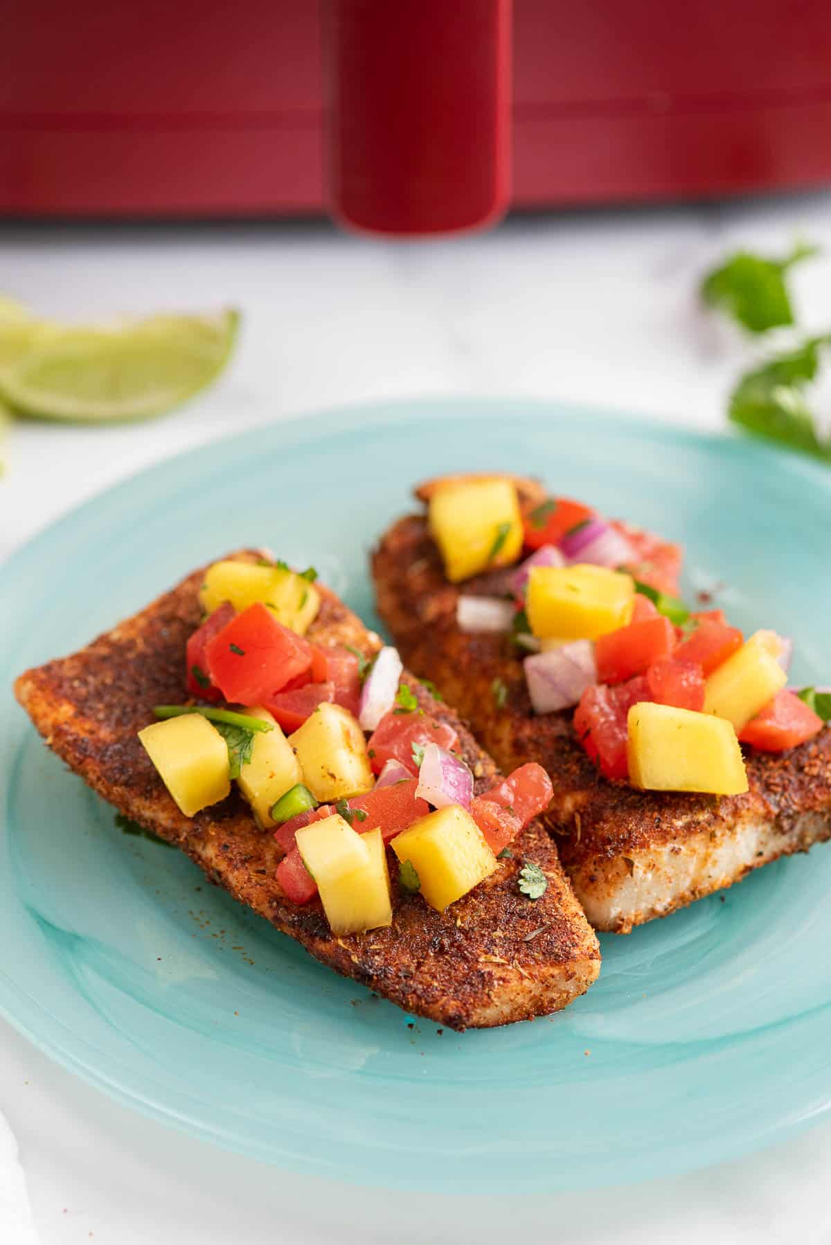 blackened air fryer mahi mahi in front of air fryer