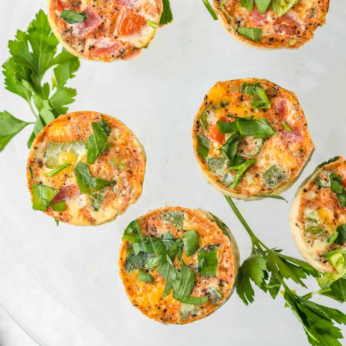 Instant Pot Egg Bites with Tex Mex flavors - Make It Skinny Please