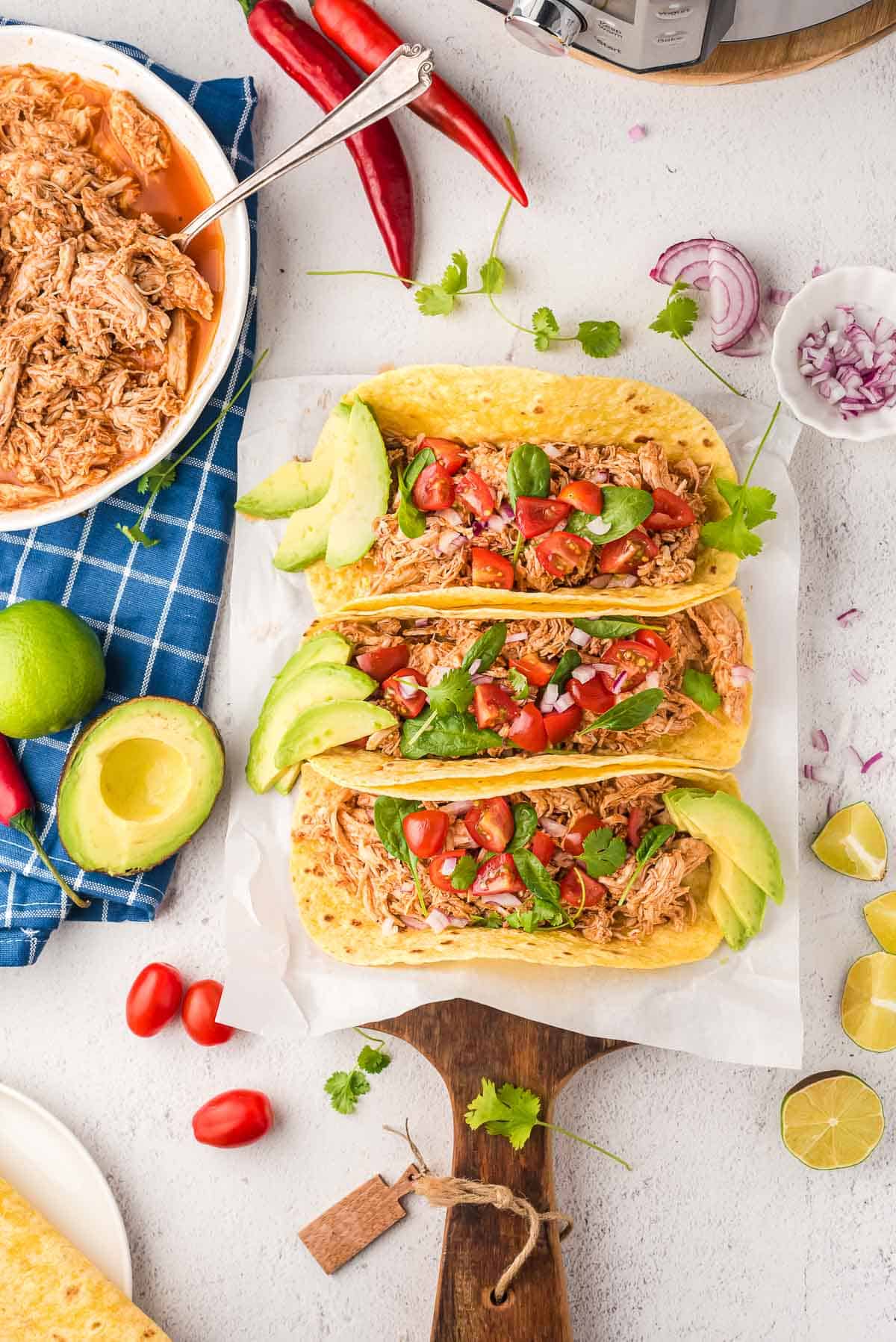 Mexican shredded chicken in colorful tacos