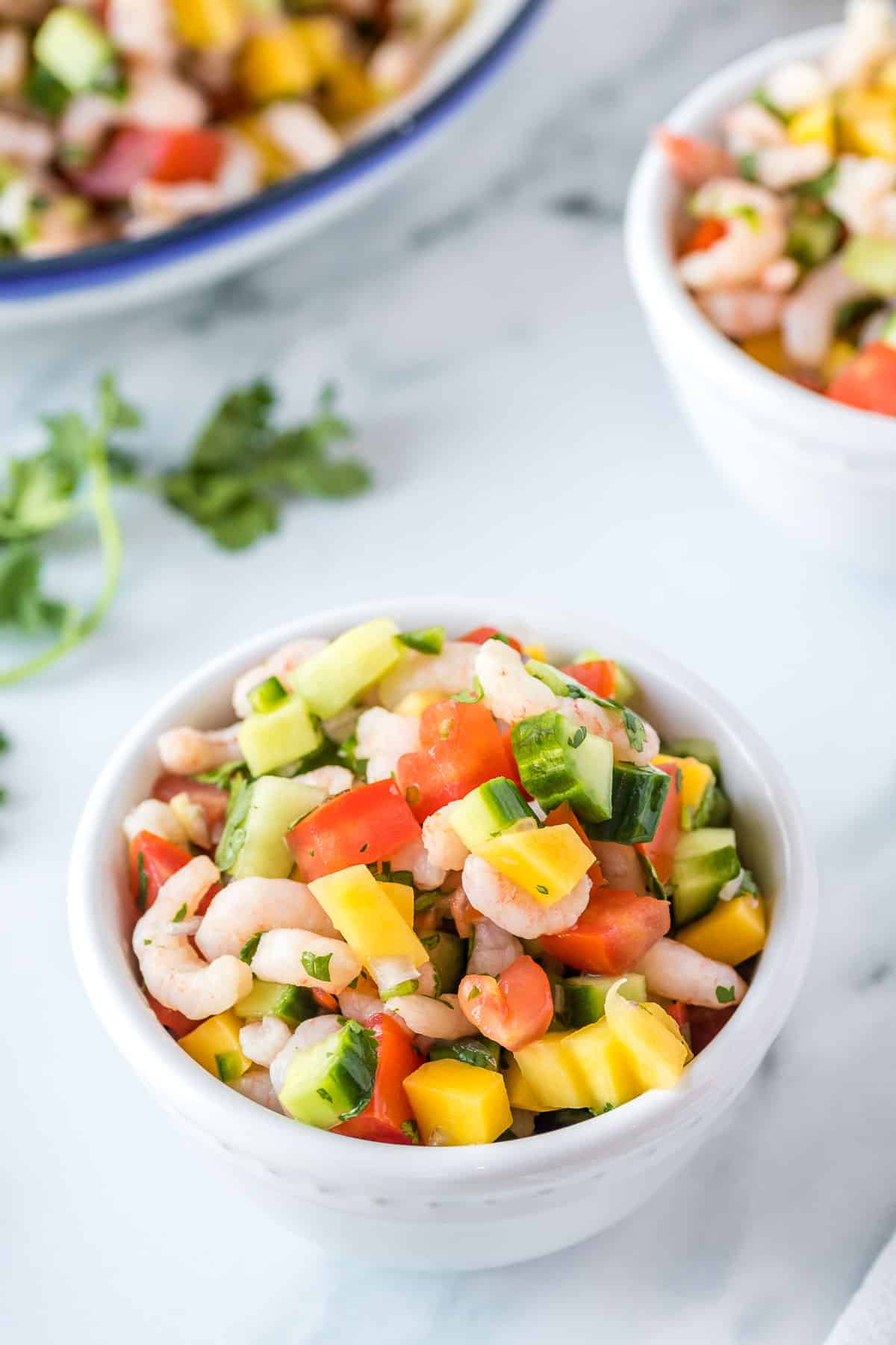 shrimp ceviche in serving bowl close up