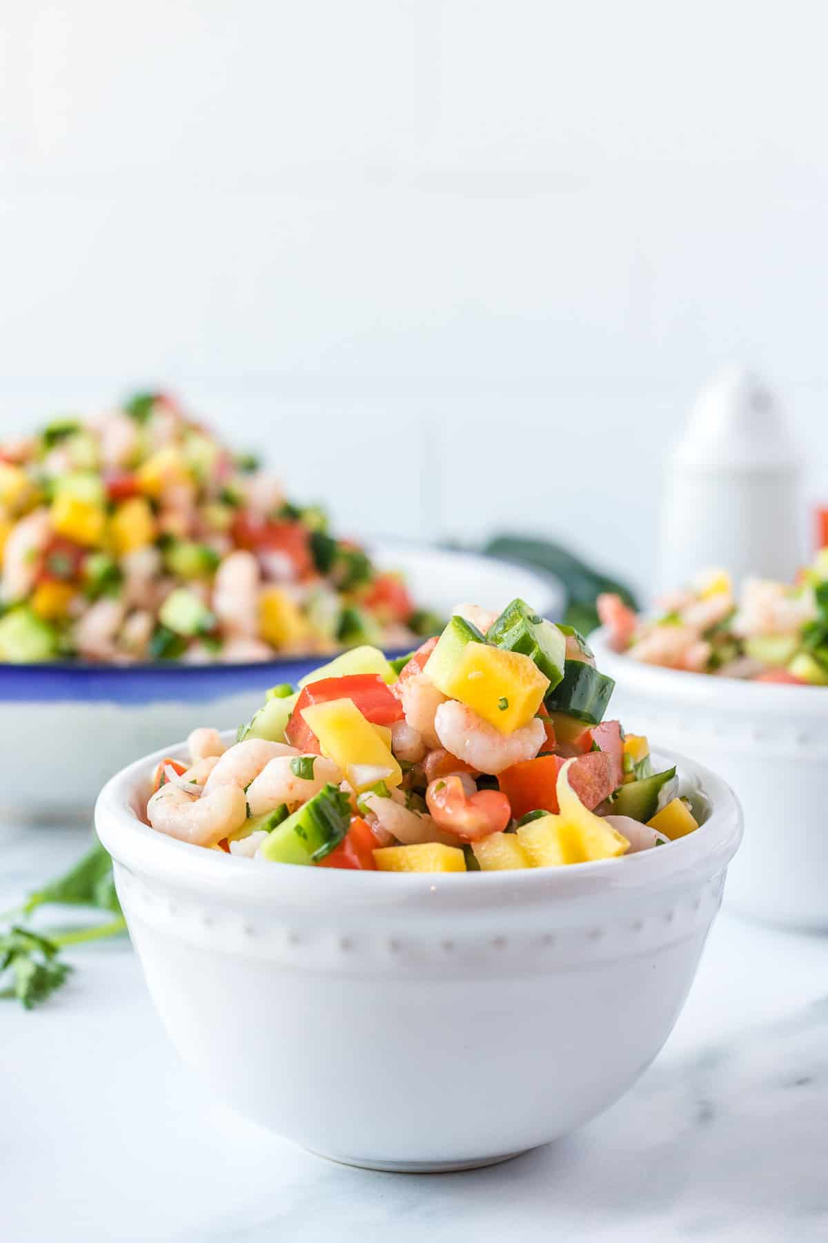 shrimp ceviche in serving bowl from side