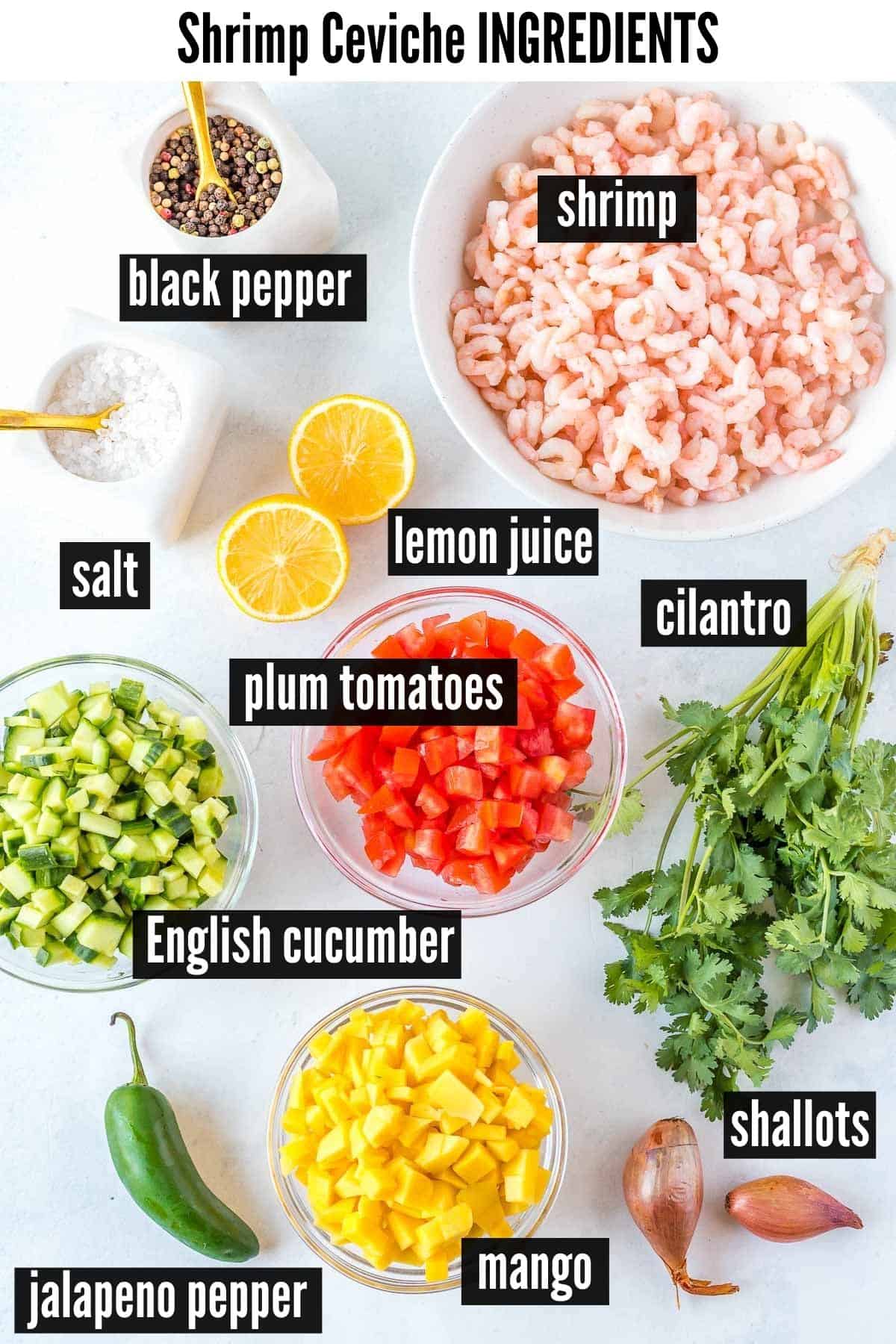 shrimp ceviche labelled ingredients