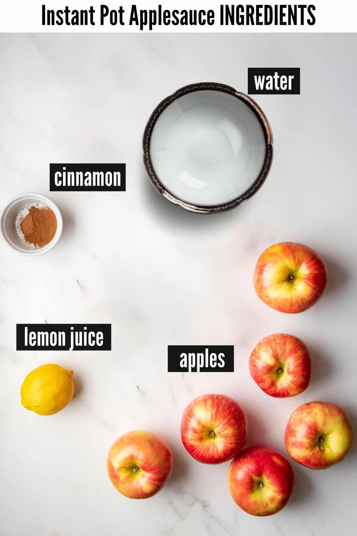 instant pot applesauce labelled ingredients.