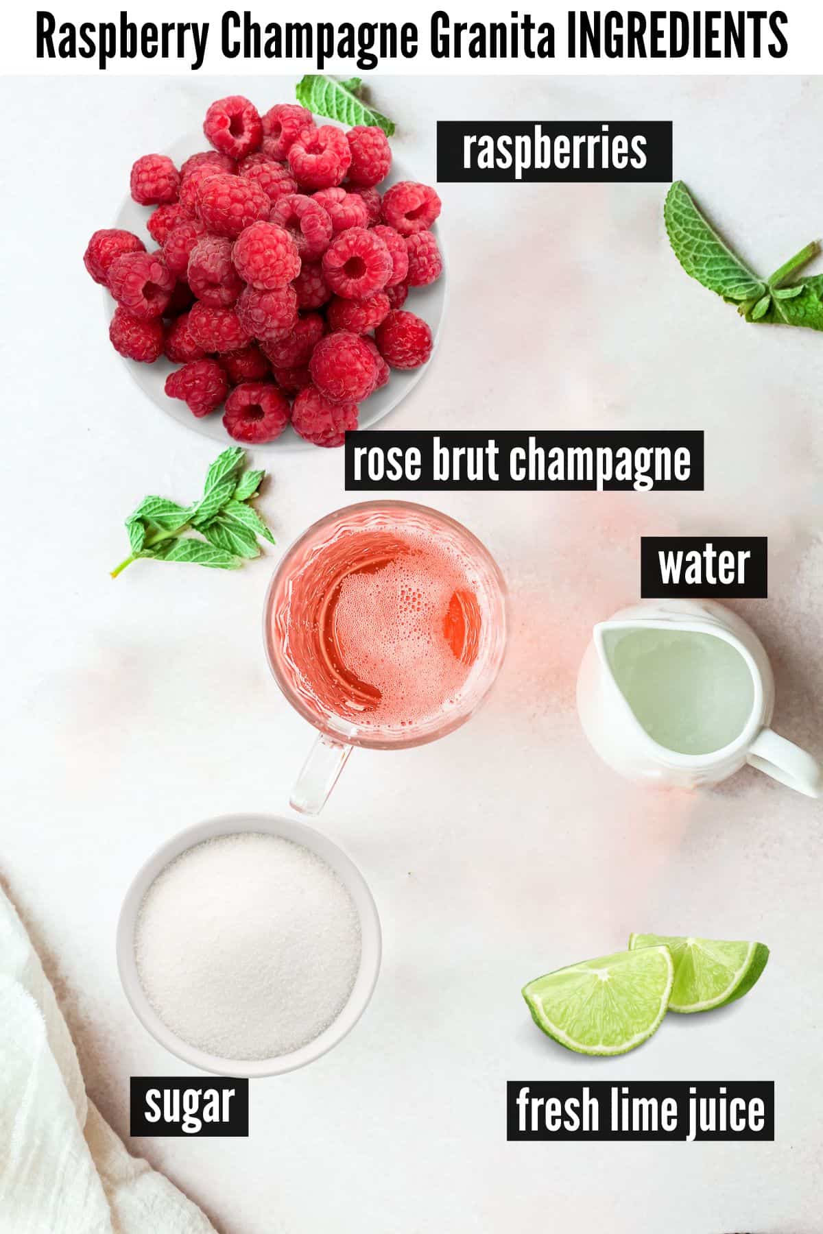 raspberry champagne granita labelled ingredients