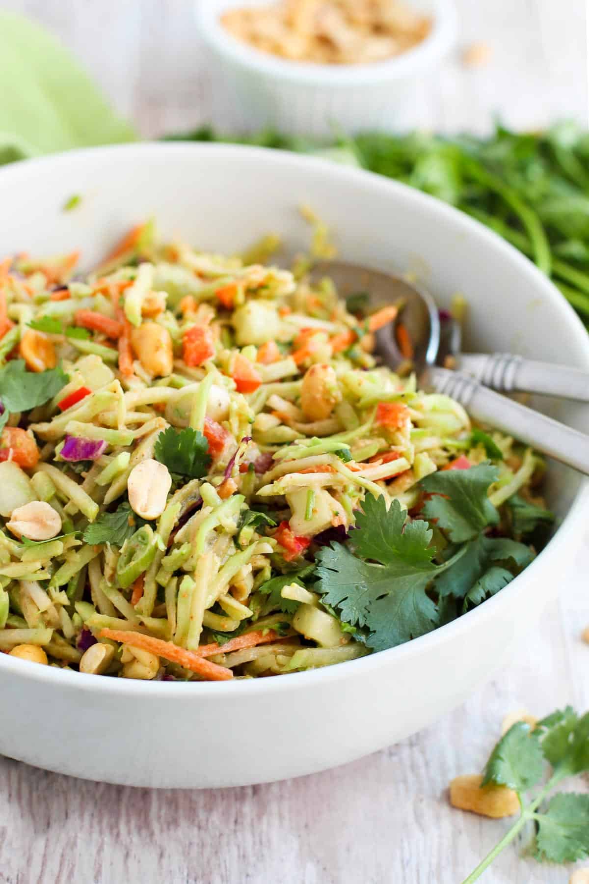 Thai Crunch Salad with skinny peanut dressing side view