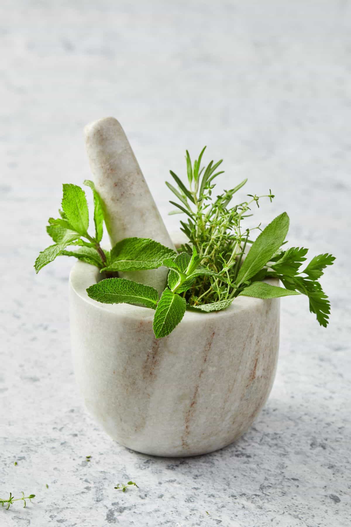 fresh herbs in mortar with pestle