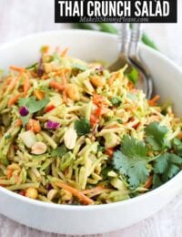 Thai Crunch Salad close up